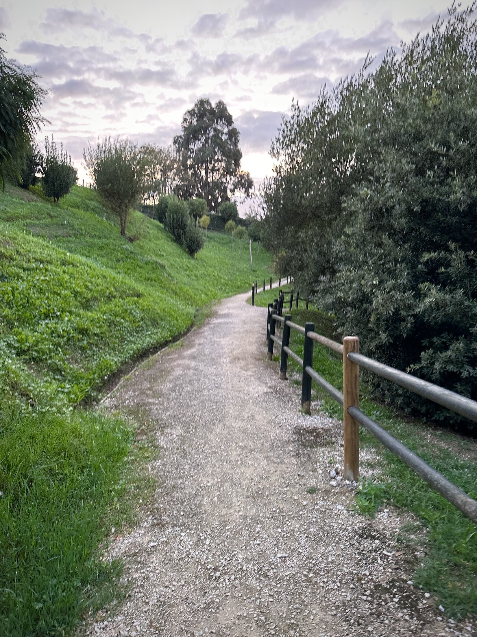 A gravel walking path along a fenced, grassy lane near the house at dusk.