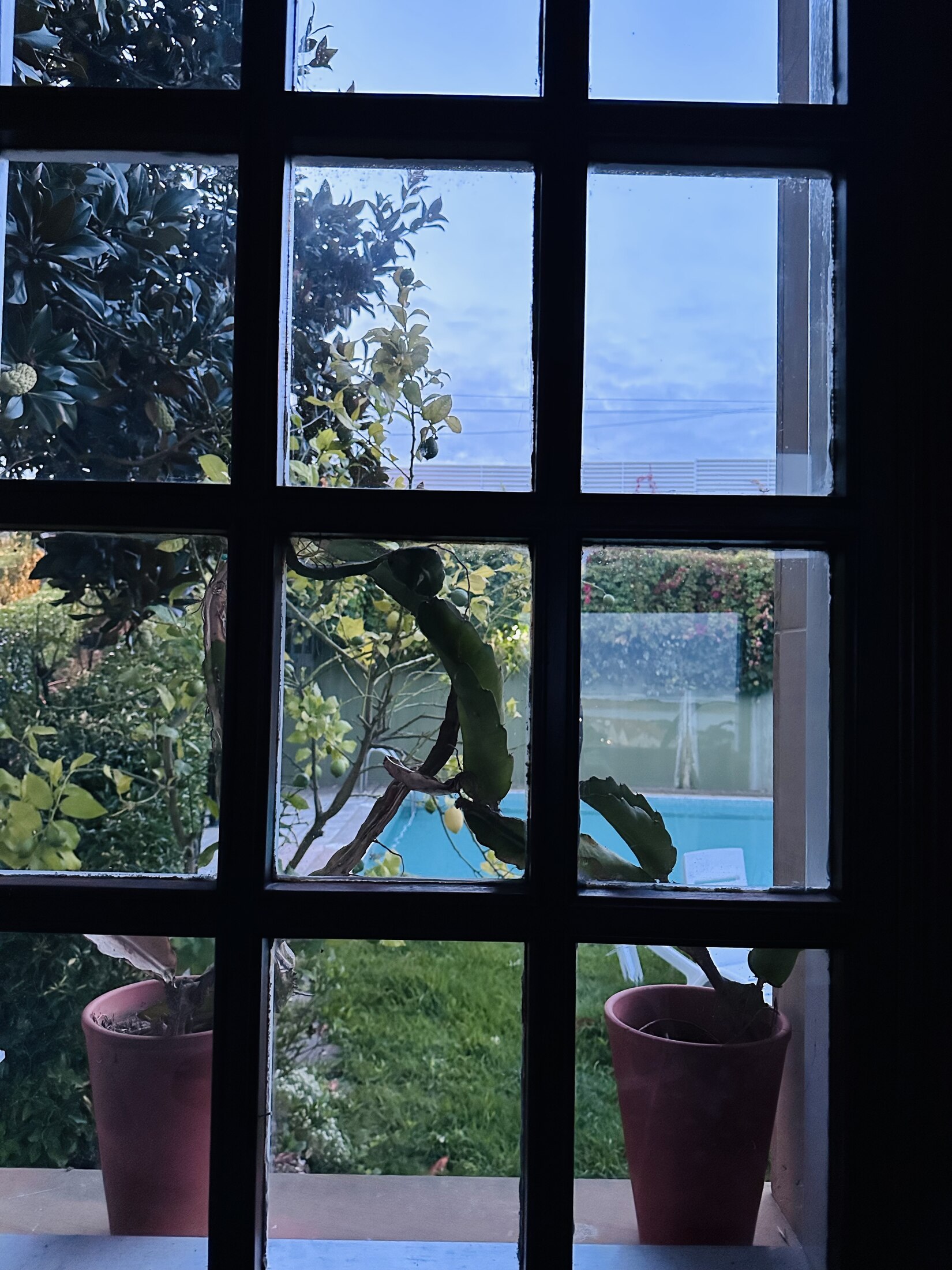 Potted plants on a windowsill, looking out through paned glass to the pool and garden below.
